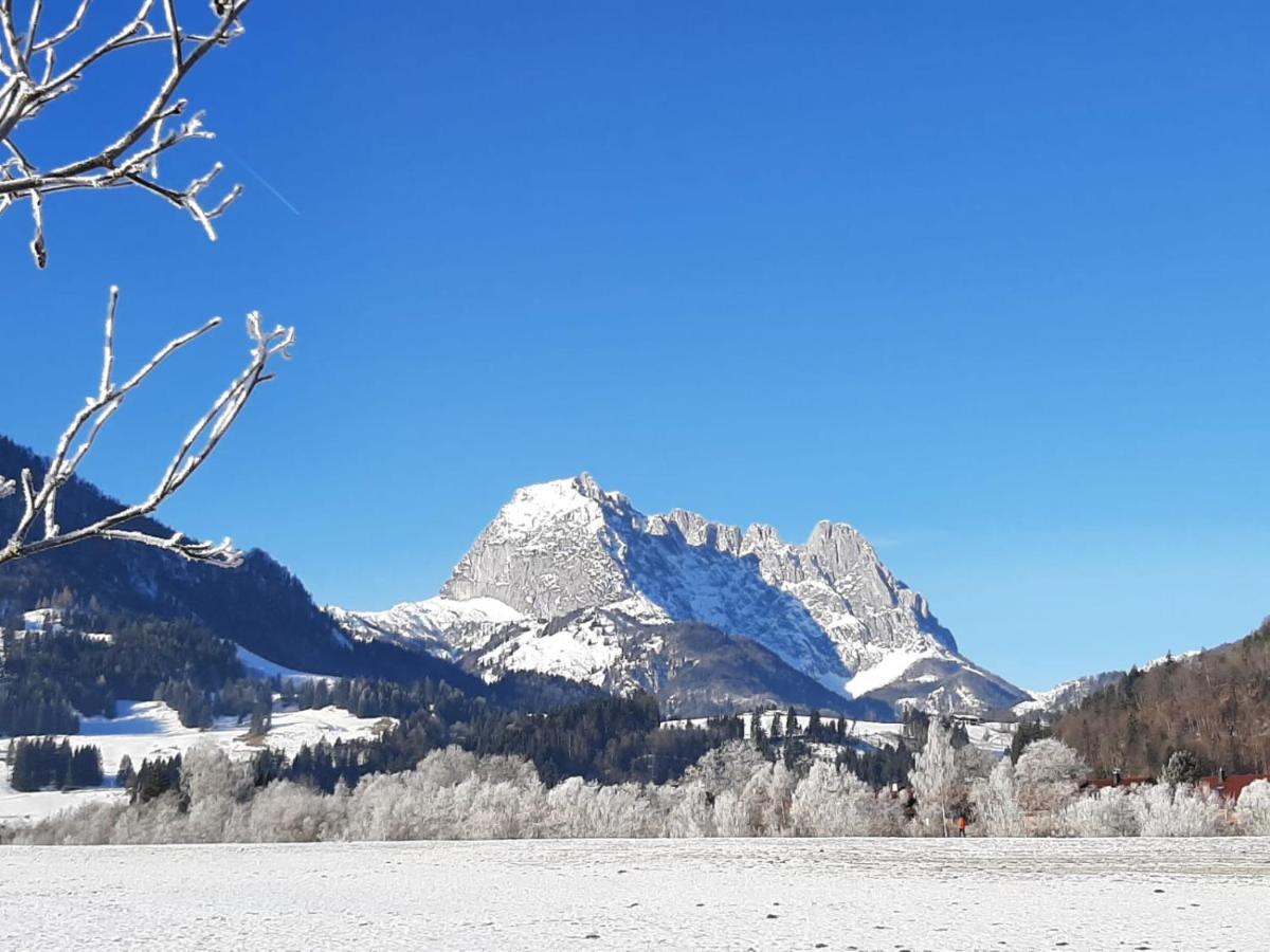 Tiroler Ferienwohnungen Haus Petra Kirchdorf in Tirol Exteriör bild