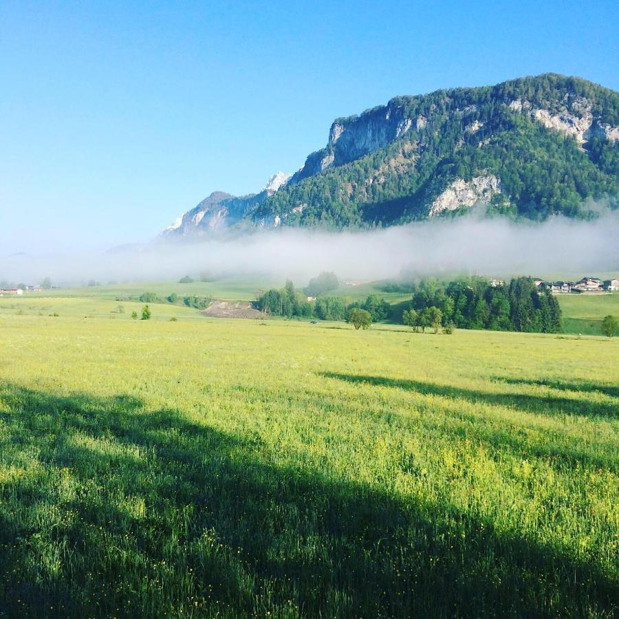 Tiroler Ferienwohnungen Haus Petra Kirchdorf in Tirol Exteriör bild