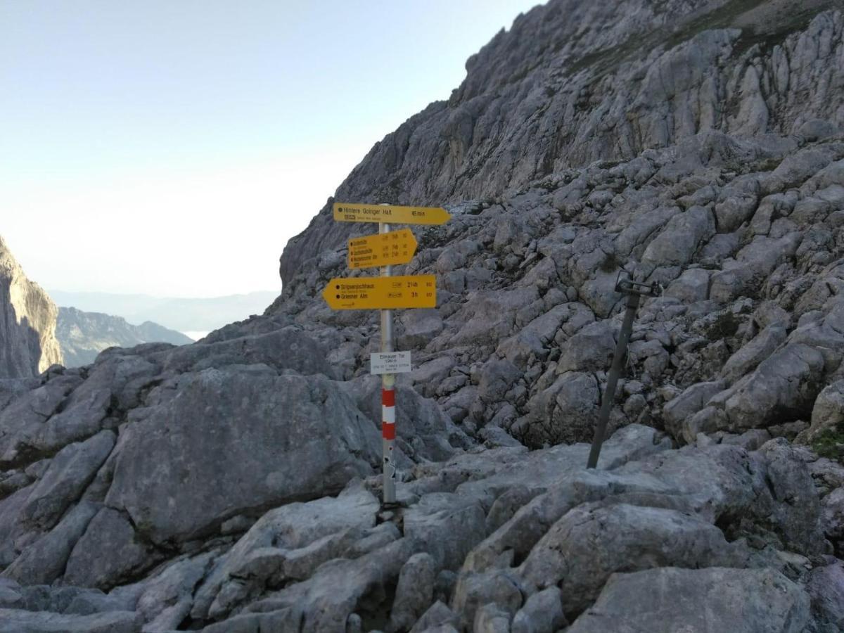 Tiroler Ferienwohnungen Haus Petra Kirchdorf in Tirol Exteriör bild